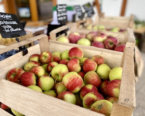 Neue Ernte: Äpfel, Birnen, Zwetschgen... vom Obsthof Wenz